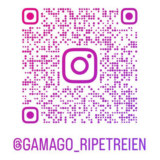 インスタ